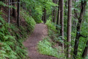 Hiking the trails around Saltsburg PA